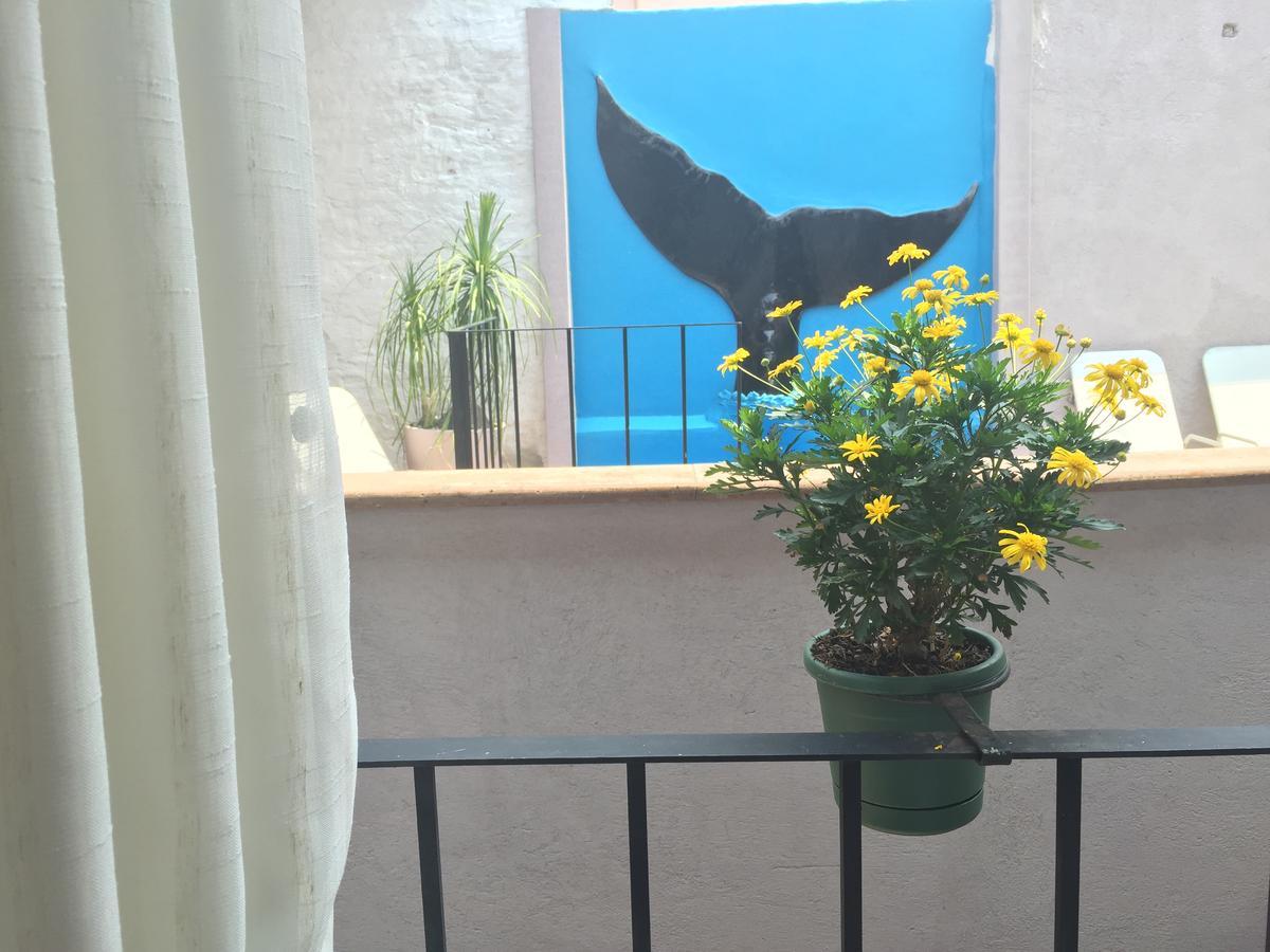 Suites Colibri Σαν Μιγκέλ ντε Αγιέντε Εξωτερικό φωτογραφία